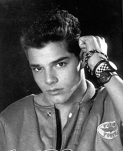 Ricky Martin was born December 24, 1971 as Enrique Jose Martin Morales in San Juan, Puerto Rico. He was the only son of Enrique Martin, a psychologist and ... - 6321157